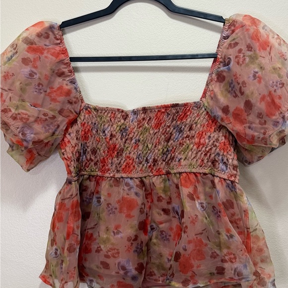 Evolutionary Top - Picture 3 of 3